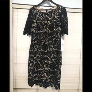 NWT lace dress